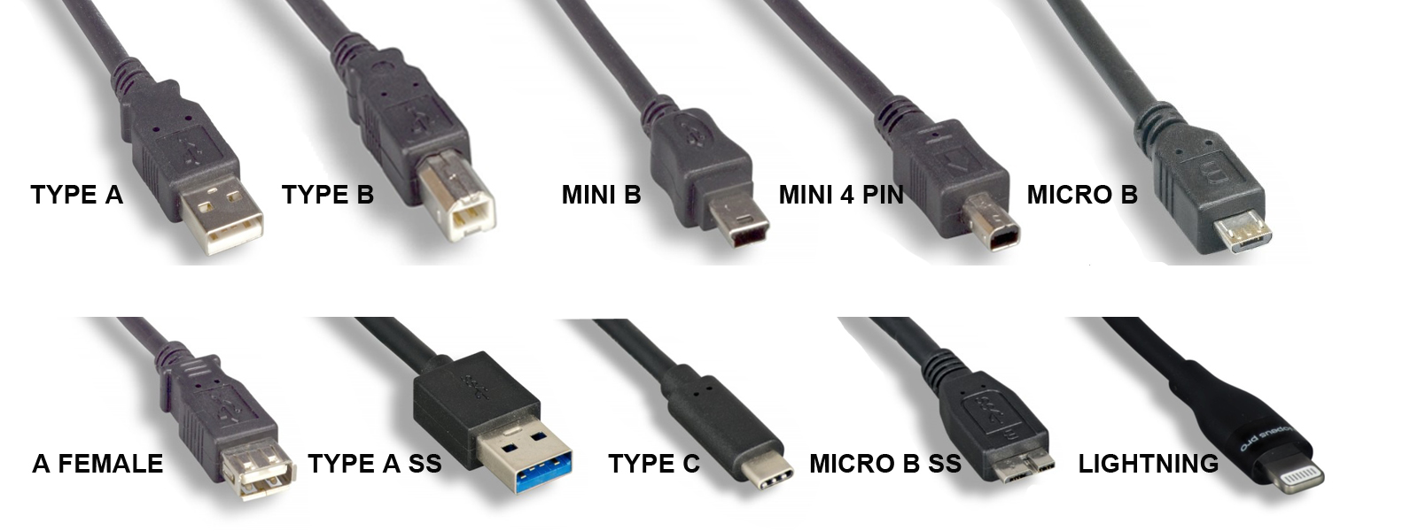 Necklet Bewolkt Chatten Types Of Usb Ports Fout Controleren Vervagen